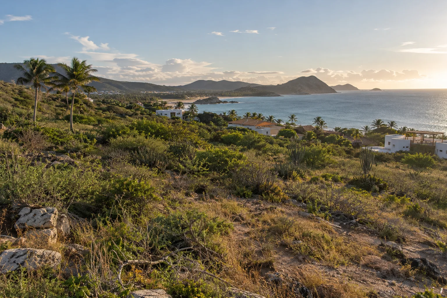 Open land overlooking the coast